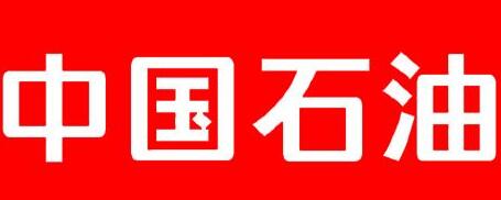 中國石油廣西石化公司總經理雍瑞生簡歷，廣西石化領導班子