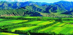 廣西農(nóng)村投資集團待遇怎么樣？廣西農(nóng)業(yè)信貸擔保公司工資多少？中層如何？