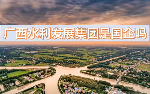 廣西水利發展集團是國企嗎？廣西水利發展集團是什么級別？是廣西區直國企廣西農村投資集團旗下嗎？